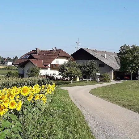 Gaestehaus Lipnik Apartment *