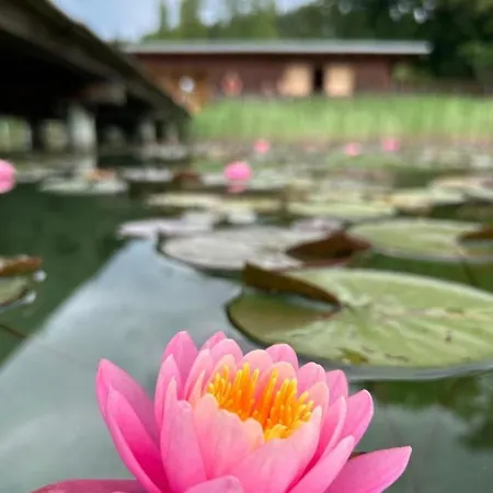 Apartamento Gaestehaus Lipnik Sankt Kanzian am Klopeiner See