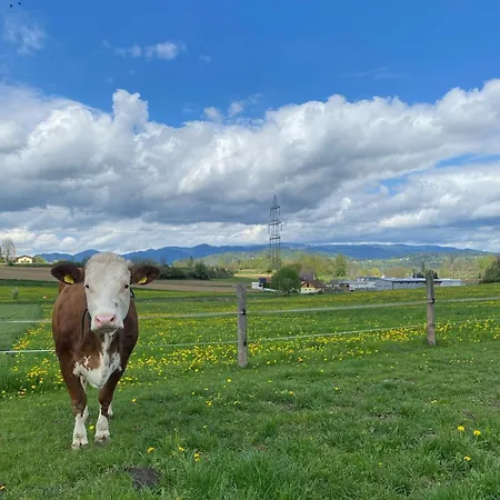Gaestehaus Lipnik Apartamento