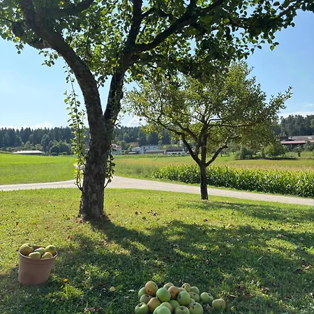 Gaestehaus Lipnik Daire Sankt Kanzian am Klopeiner See