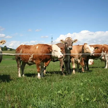 Gaestehaus Lipnik * Sankt Kanzian am Klopeiner See