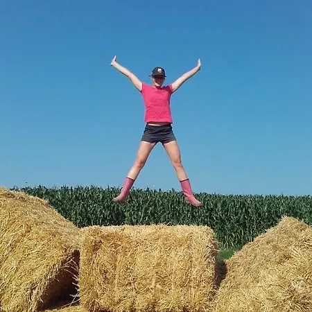 Apartamento Gaestehaus Lipnik *