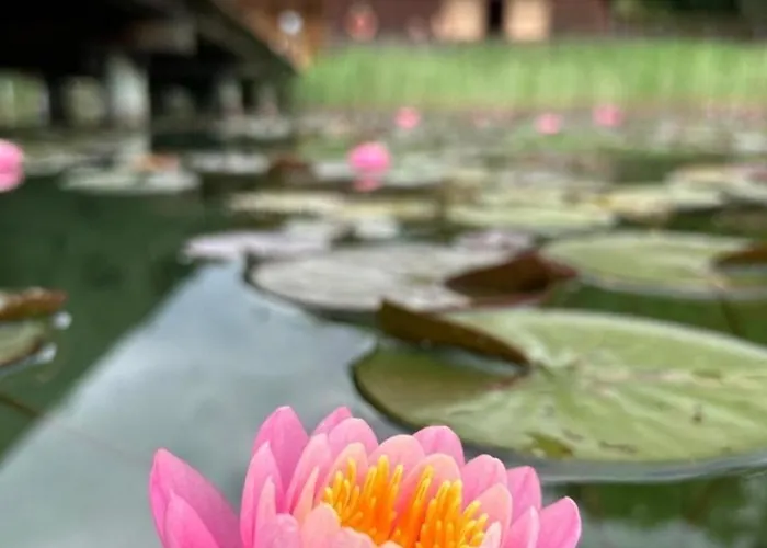 Lägenhet Gaestehaus Lipnik Sankt Kanzian am Klopeiner See