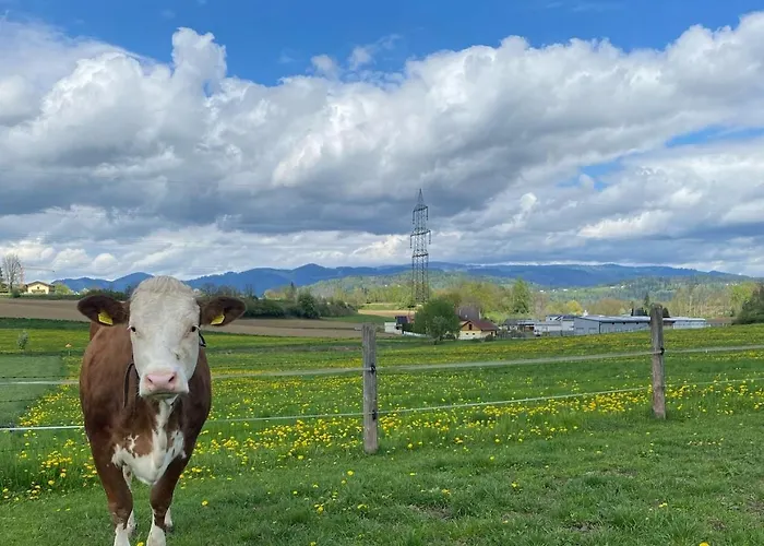 Gaestehaus Lipnik Lägenhet