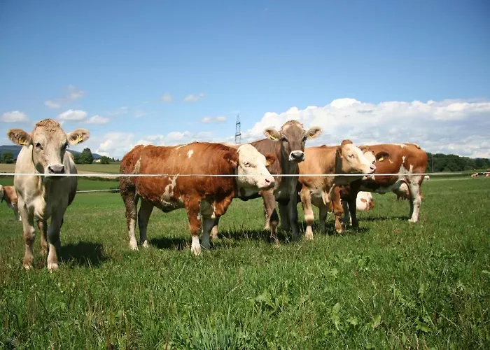 Gaestehaus Lipnik * Sankt Kanzian am Klopeiner See
