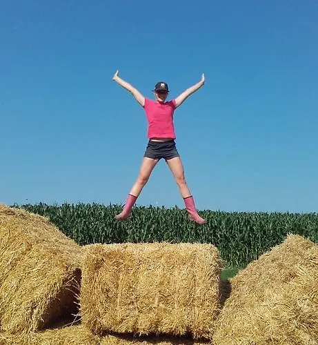 Lägenhet Gaestehaus Lipnik *