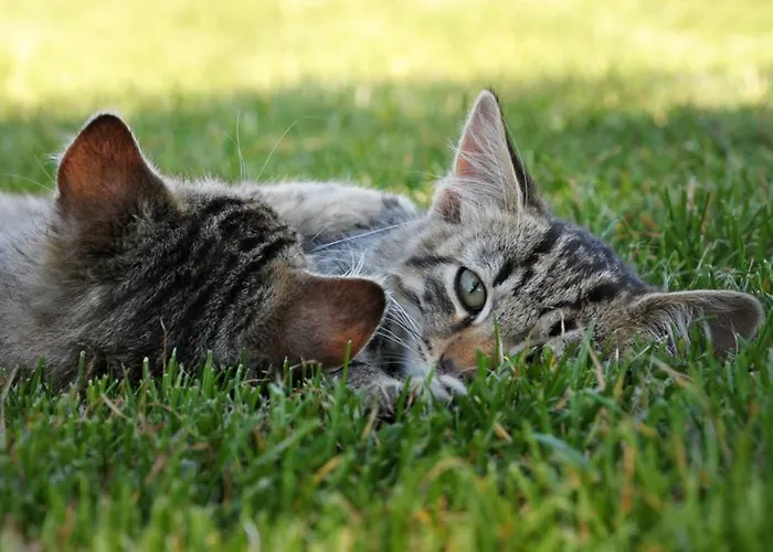Gaestehaus Lipnik Lägenhet *